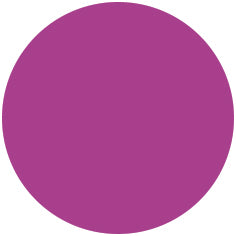 Color Gel Polish Anima