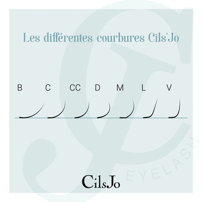 Extensions de cils collection Cils&